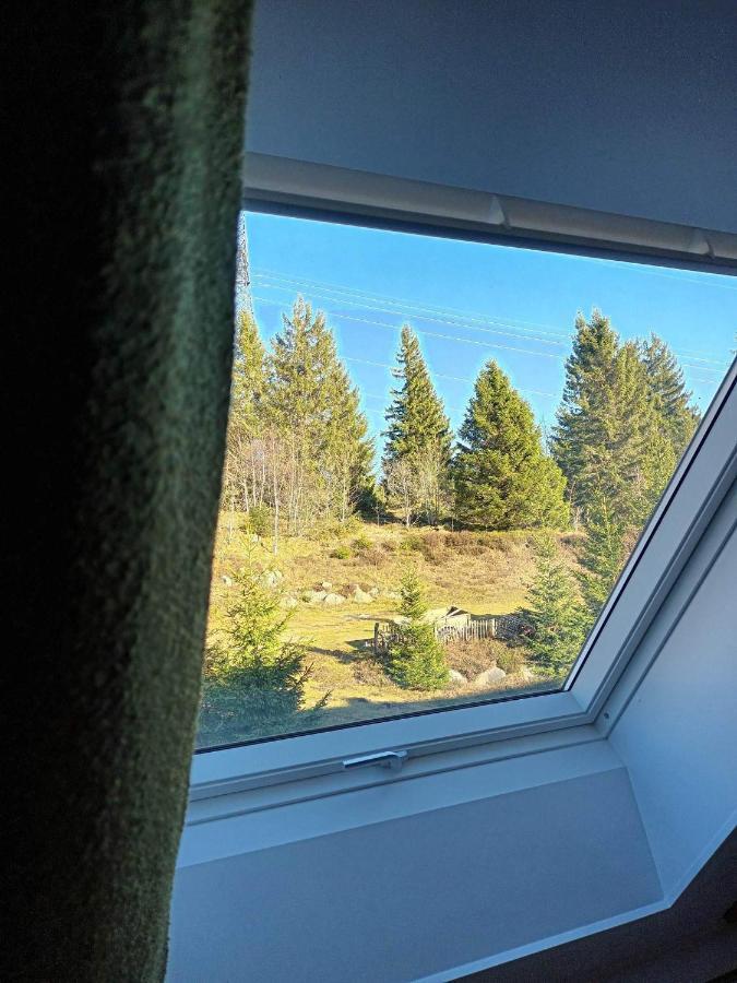 Terre De Sapins - Gites Nature Haut De Gamme Avec Sauna Au Coeur Du Lac Blanc Orbey Exterior foto